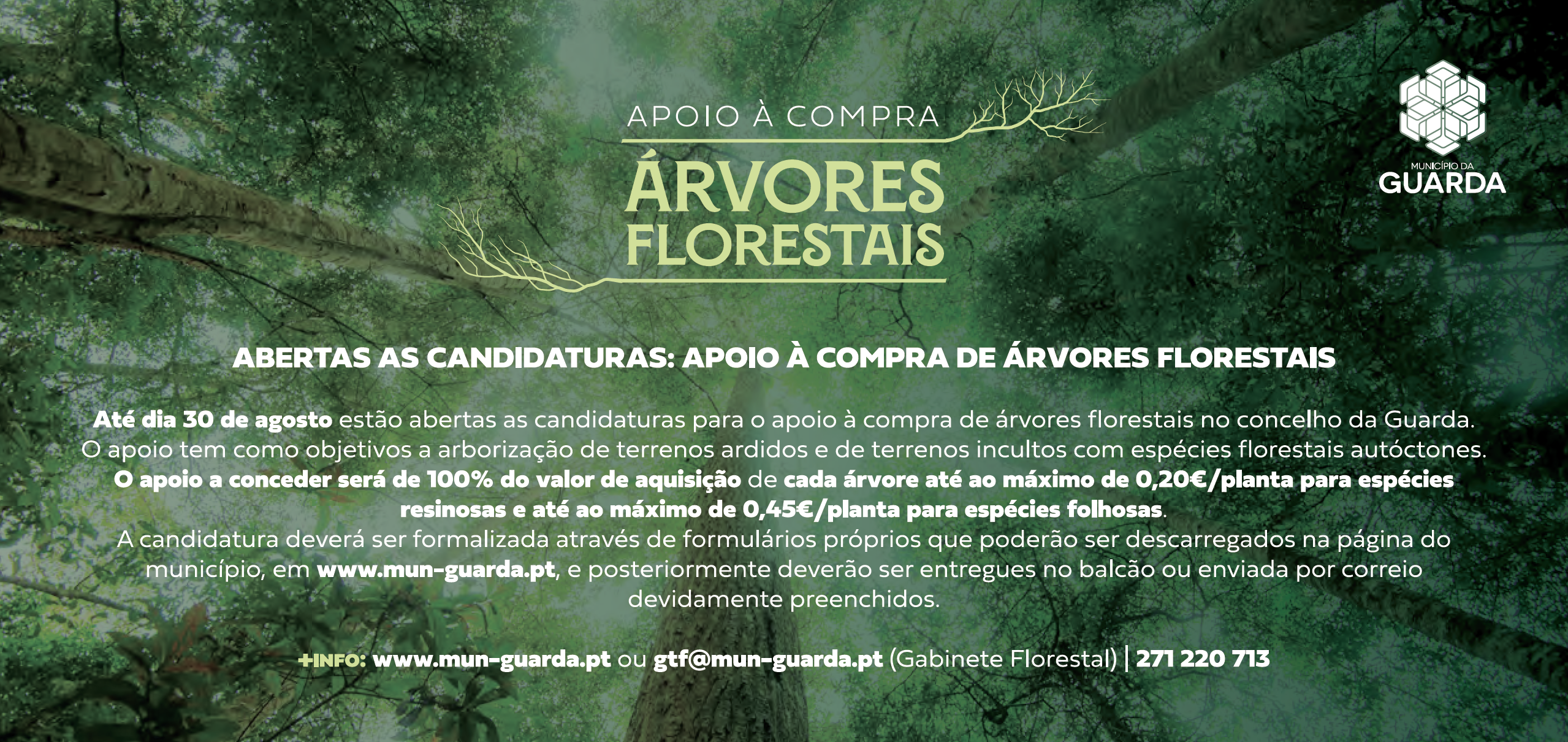Imagem Abertas as Candidaturas: Apoio à compra de árvores florestais